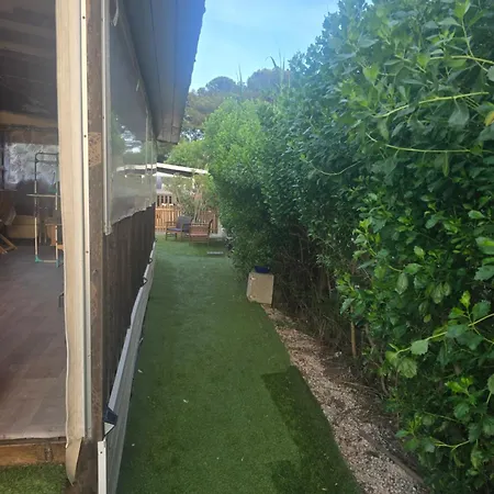 Oasis Louisitanienne * Hyeres