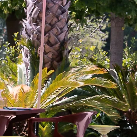 Oasis Louisitanienne Lägenhet Hyères