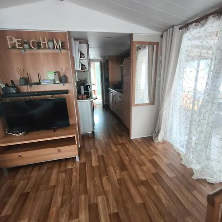 Oasis Louisitanienne *