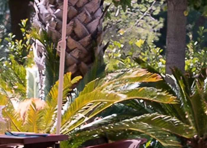 Camping Les Pins Maritimes - Mobil Home Tout Confort Апартаменти Єр